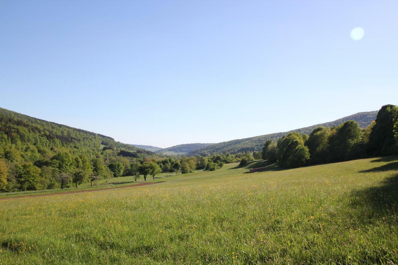 Abersfelder Mit Balkon Wildflecken